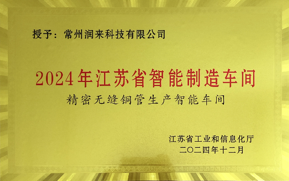 2024 Jiangsu Province Intelligent Manufacturing Workshop for Precision Seamless Copper Tube Producti